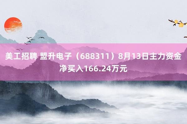 美工招聘 盟升电子（688311）8月13日主力资金净买入166.24万元