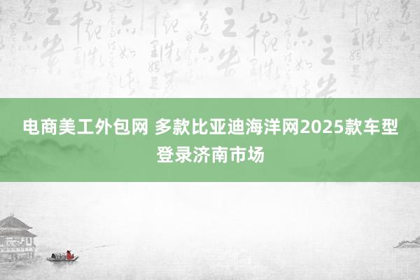 电商美工外包网 多款比亚迪海洋网2025款车型登录济南市场